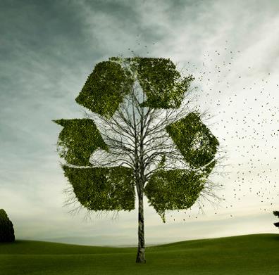 Recycling Program tree image