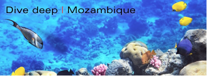 Dive Mozambique