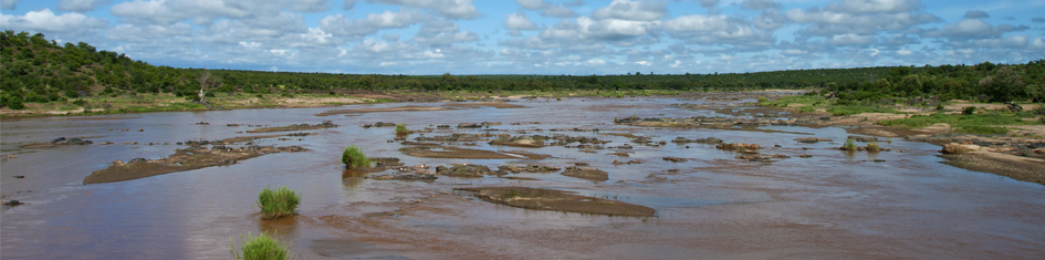 Wetlands at phalaborwa
